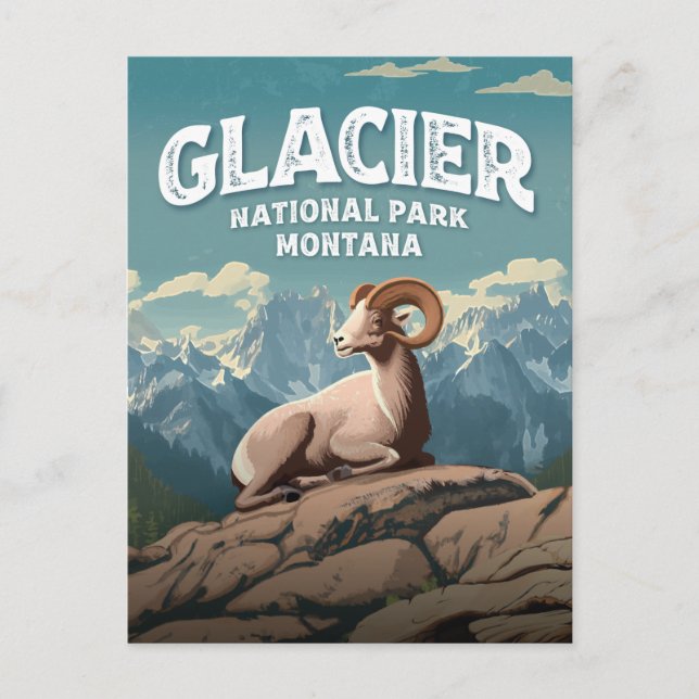 Cartão Postal Glacier National Park Bighorn Sheep (Frente)