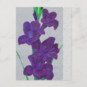 cartão postal gladiolus
