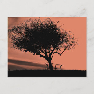 Cartão Postal Glastonbury Hawthorn. Árvore em Hill. Laranja Pret