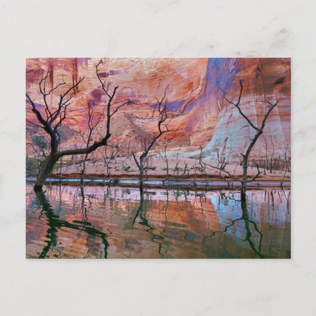 Cartão Postal Glen Canyon National Recreation Area, Utah (Frente)