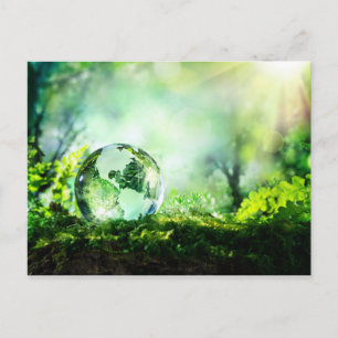 Cartão Postal Globo de cristal em uma floresta verde