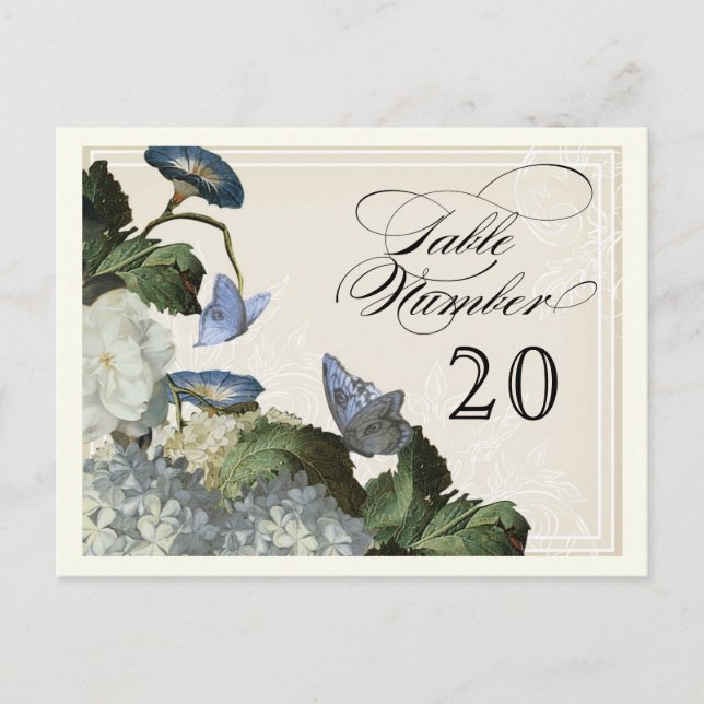 Cartão Postal Glória da Manhã Hydrangea - Números de Assentos de (Frente)
