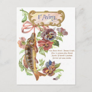 Cartão Postal Glória da Manhã Peixe