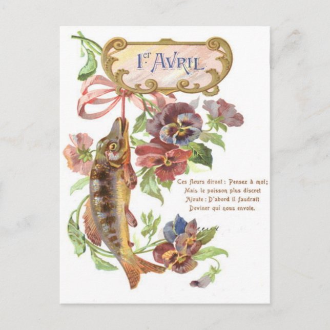 Cartão Postal Glória da Manhã Peixe (Frente)