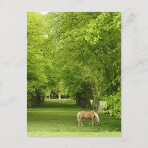 Cartão Postal Gloucestershire, Reino Unido