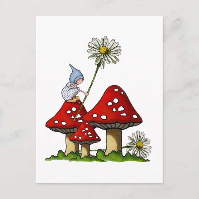 Cartão Postal Gnomo Girl, Toadstool, Daisies, Arte Fanstasy (Frente)