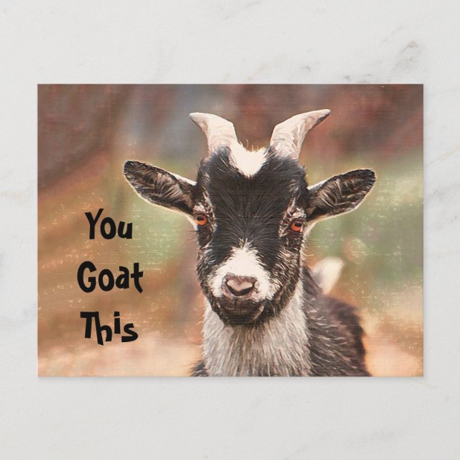 Cartão Postal Goat Cute Engraçado Você Gosta Disso (Frente)