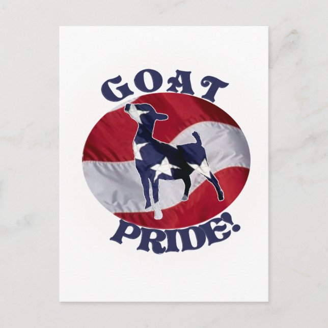 CARTÃO POSTAL GOAT PRIDE AMERICAN FLAG USA (Frente)