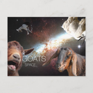 Cartão Postal Goats.In.Space