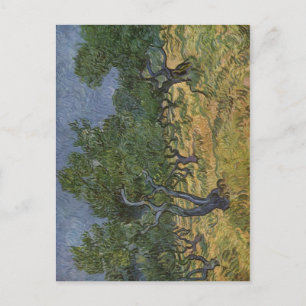 Cartão Postal Gogh, Vincent van Olivenhain 1889 Technique ?l auf