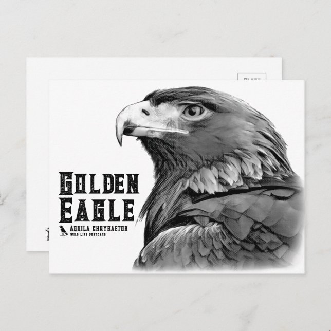 Cartão Postal Golden Eagle (Frente/Verso)