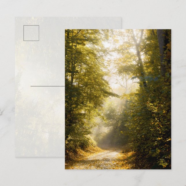 Cartão Postal Golden Morning park, Original Fine Art Photograph (Frente/Verso)