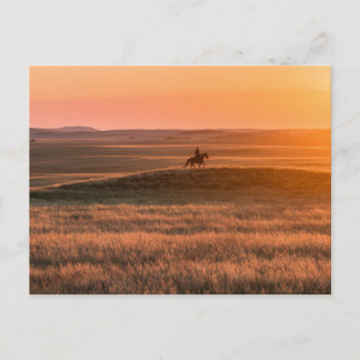 Cartão Postal Golden Prairie Party Invitation - Classic Western 