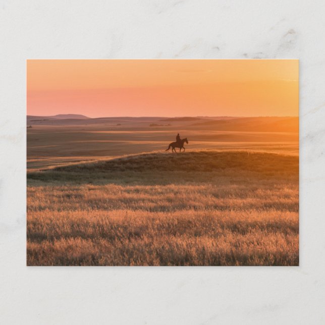 Cartão Postal Golden Prairie Party Invitation - Classic Western  (Frente)