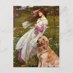Cartão Postal Golden Retriever 1 - Flores do Vento
