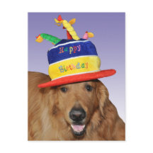Golden Retriever birthday cake hat postcard
