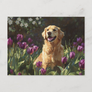 Cartão Postal Golden Retriever com Tulipas Roxas