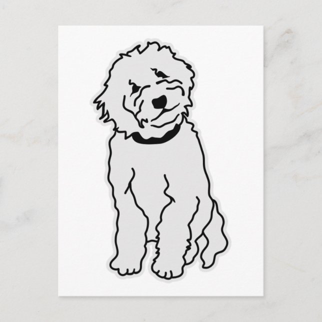 Cartão Postal Goldendoodle (Frente)