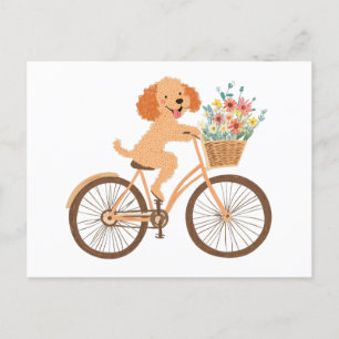 Cartão Postal Goldendoodle Cachorro Cachorro Bicando Flores De M