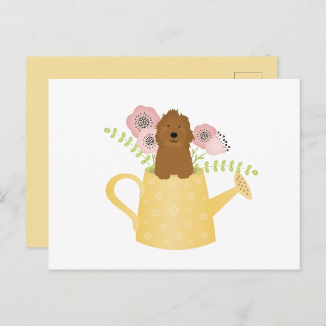 Cartão Postal Goldendoodle Em Água Pode Amarelar (Frente/Verso)