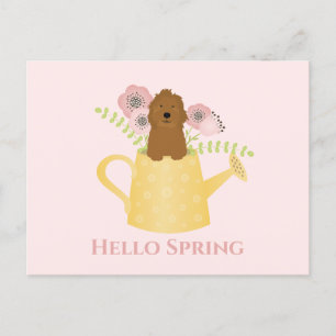 Cartão Postal Goldendoodle Na Água