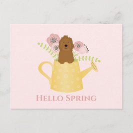 Cartão Postal Goldendoodle Na Água