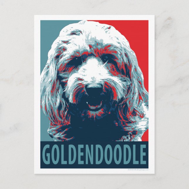 Cartão Postal GOLDENDOODLE por Cães Espertos (Frente)