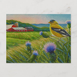 Cartão Postal Goldfinch Bird Thistles Summer Fazenda Watercolor 