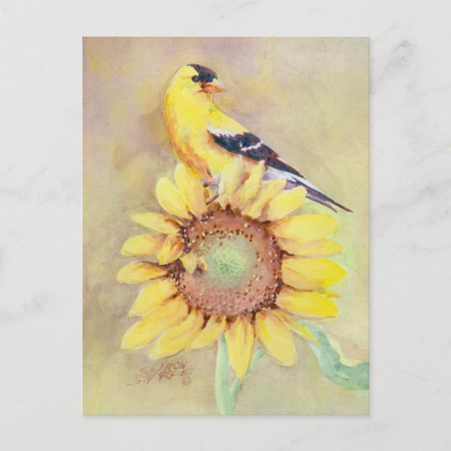 CARTÃO POSTAL GOLDFINCH E SUNFLOWER DE SHARON SHARPE (Frente)