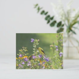 Cartão Postal Goldfinch em uma Flor Harebell