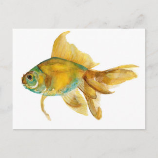 Cartão Postal goldfish2.jpg
