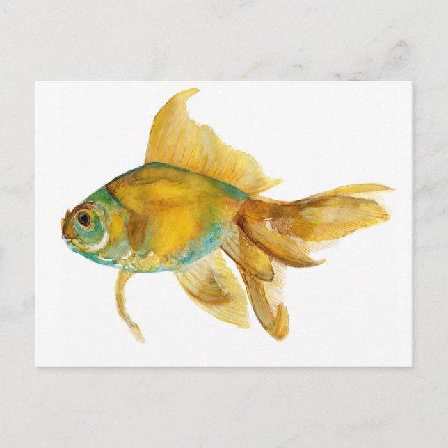 Cartão Postal goldfish2.jpg (Frente)