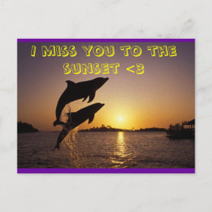 Cartão Postal golfinho