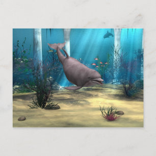 Cartão Postal Golfinho