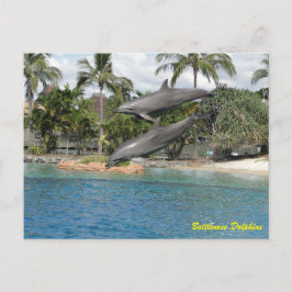 Cartão Postal Golfinho de Gargalose