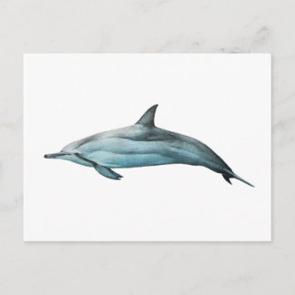 Cartão Postal Golfinho-roda