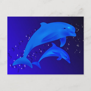 Cartão Postal Golfinhos
