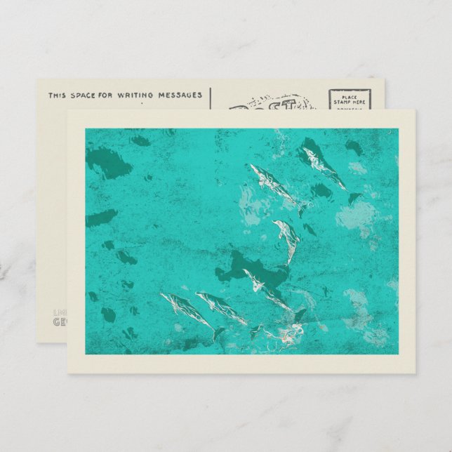 Cartão Postal Golfinhos no mar Caribe (Frente/Verso)