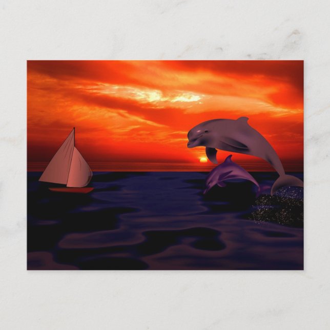 Cartão Postal Golfinhos no Sunset (Frente)