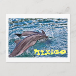 Cartão Postal Golfinhos Saltadores no México
