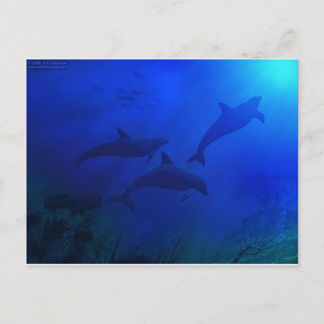 CARTÃO POSTAL GOLFINHOS SUBÁGUA (Frente)