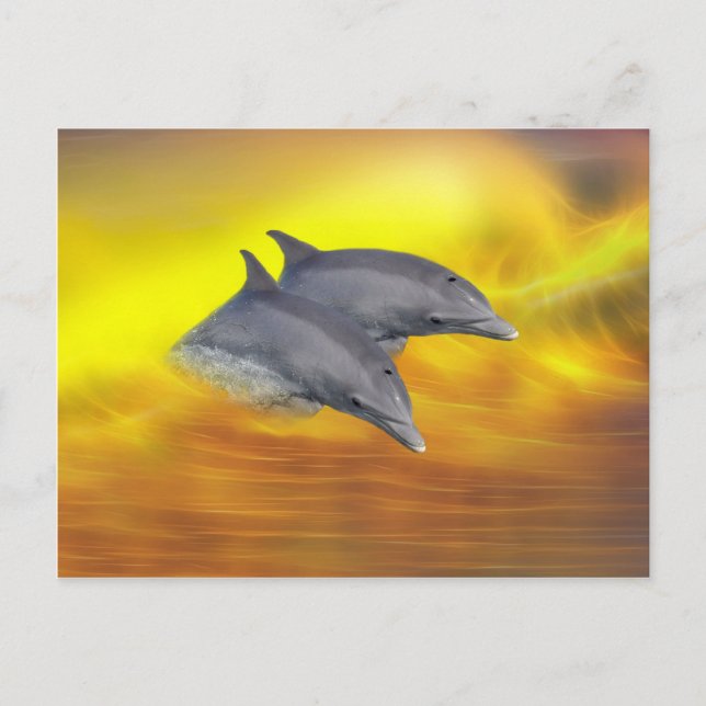 Cartão Postal Golfinhos surfando nas ondas (Frente)