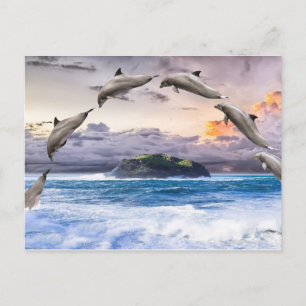 Cartão Postal Golfinhos Voadores
