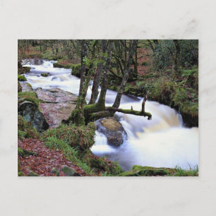 Cartão Postal Golitha Falls, Cornwall, Inglaterra no Cornish Ri
