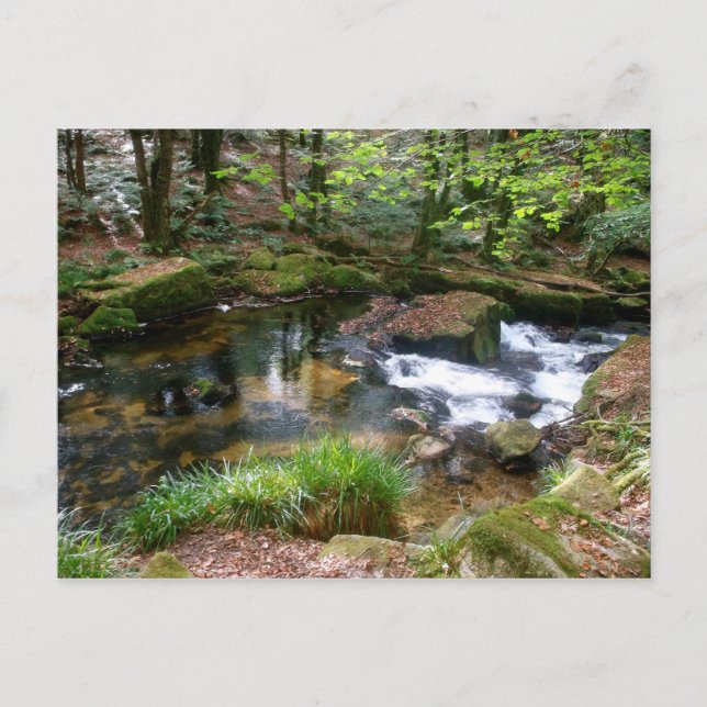 Cartão Postal Golitha Falls River Fowey Cornwall Inglaterra (Frente)