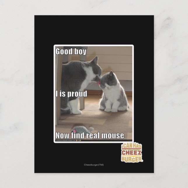 Cartão Postal Good boy (Frente)
