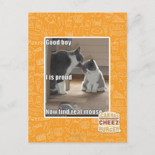 Cartão Postal Good boy