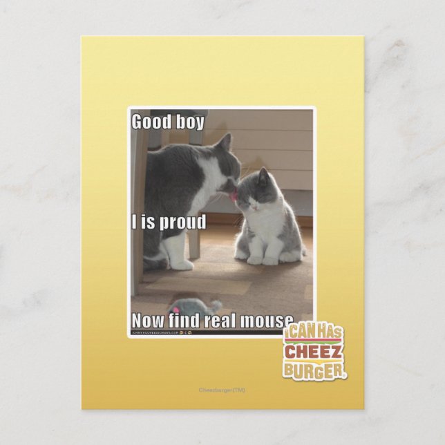 Cartão Postal Good boy (Frente)