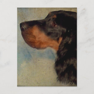 Cartão postal Gordon Setter