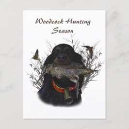 Cartão Postal Gordon Setter